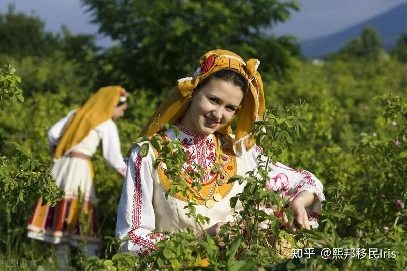 留学生如何移民加拿大？请保留这份最全面的移民路径摘要。